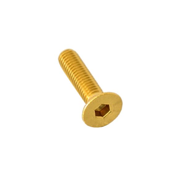 Βίδες Άλλεν PRO-BOLT M6x25mm 1.00 LCS625G ergal φρεζάτες Χρυσές