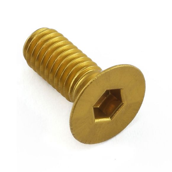 Pro-Bolt βίδες άλλεν M6x15mm 1.00 Ergal gold