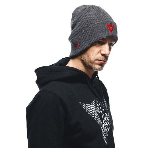 DAINESE B02 DAINESE CUFF BEANIE GRAY